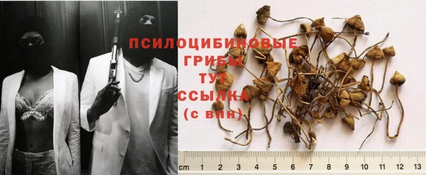 гидропоника Арсеньев