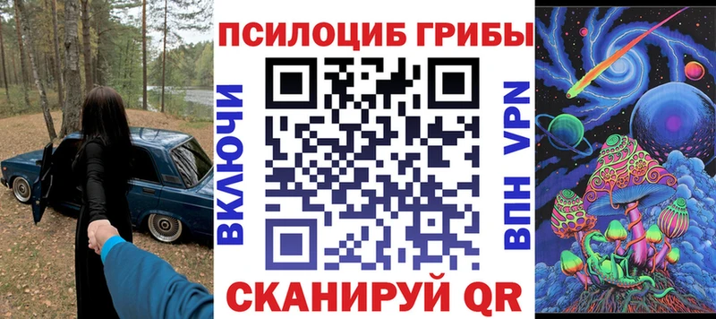 ОМГ ОМГ ссылка  Змеиногорск  Псилоцибиновые грибы Cubensis 